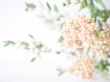 さとうなおこピアノ教室